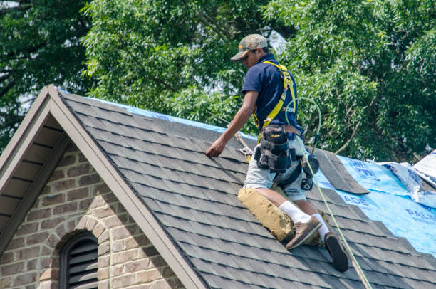Best Metal Roofing Contractor  in Brookhaven, MS